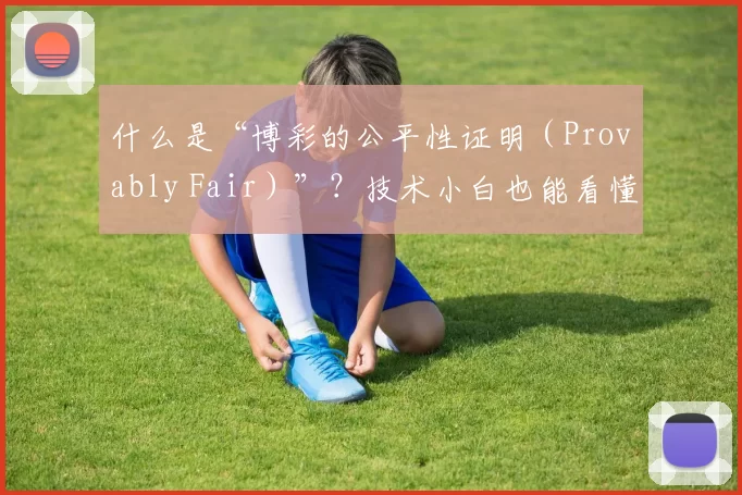什么是“博彩的公平性证明（Provably Fair）”？技术小白也能看懂的逻辑。（小白也能看懂：揭秘博彩中的“Provably Fair”公平性证明）