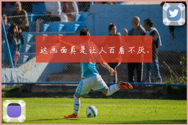 这画面真是让人百看不厌。