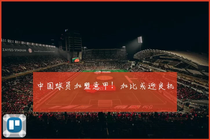 中国球员加盟意甲！加比或迎良机