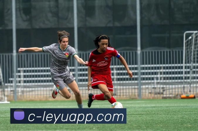 数据防护可视化